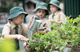 Screenshot 2026-02-11 at 9.31.26 am.png